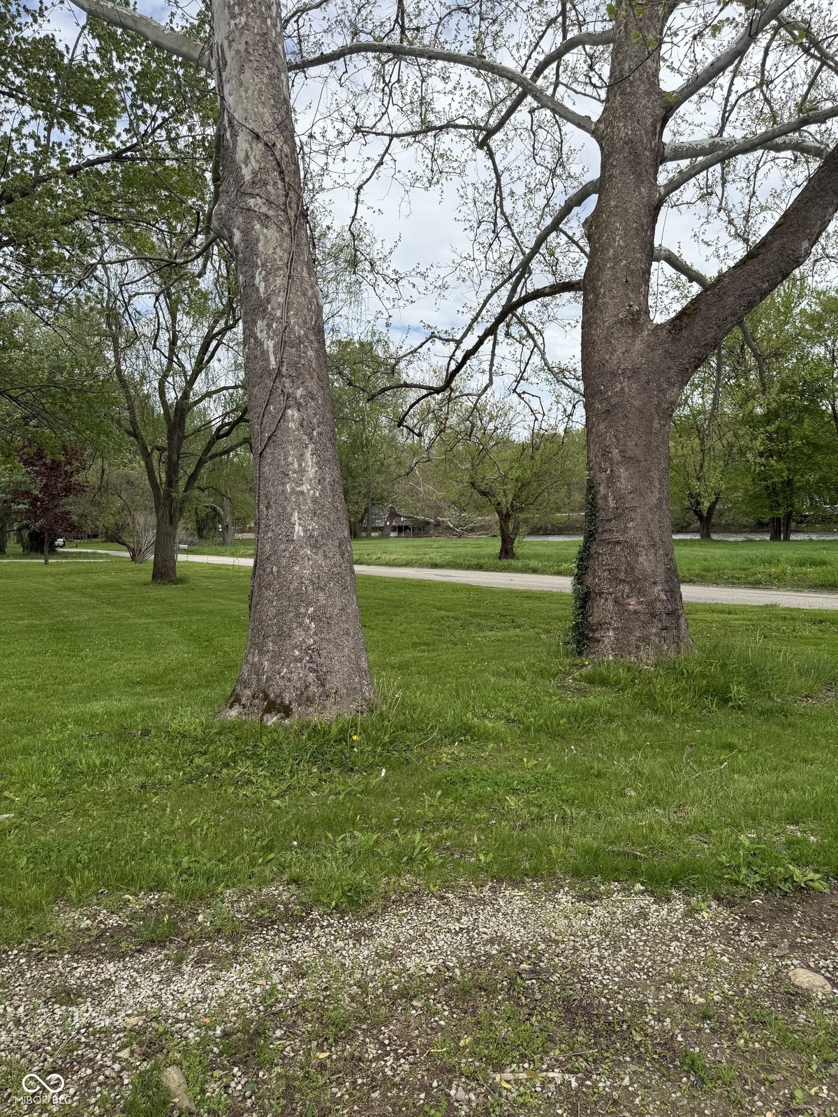 255 Riverwood Drive, photo 3